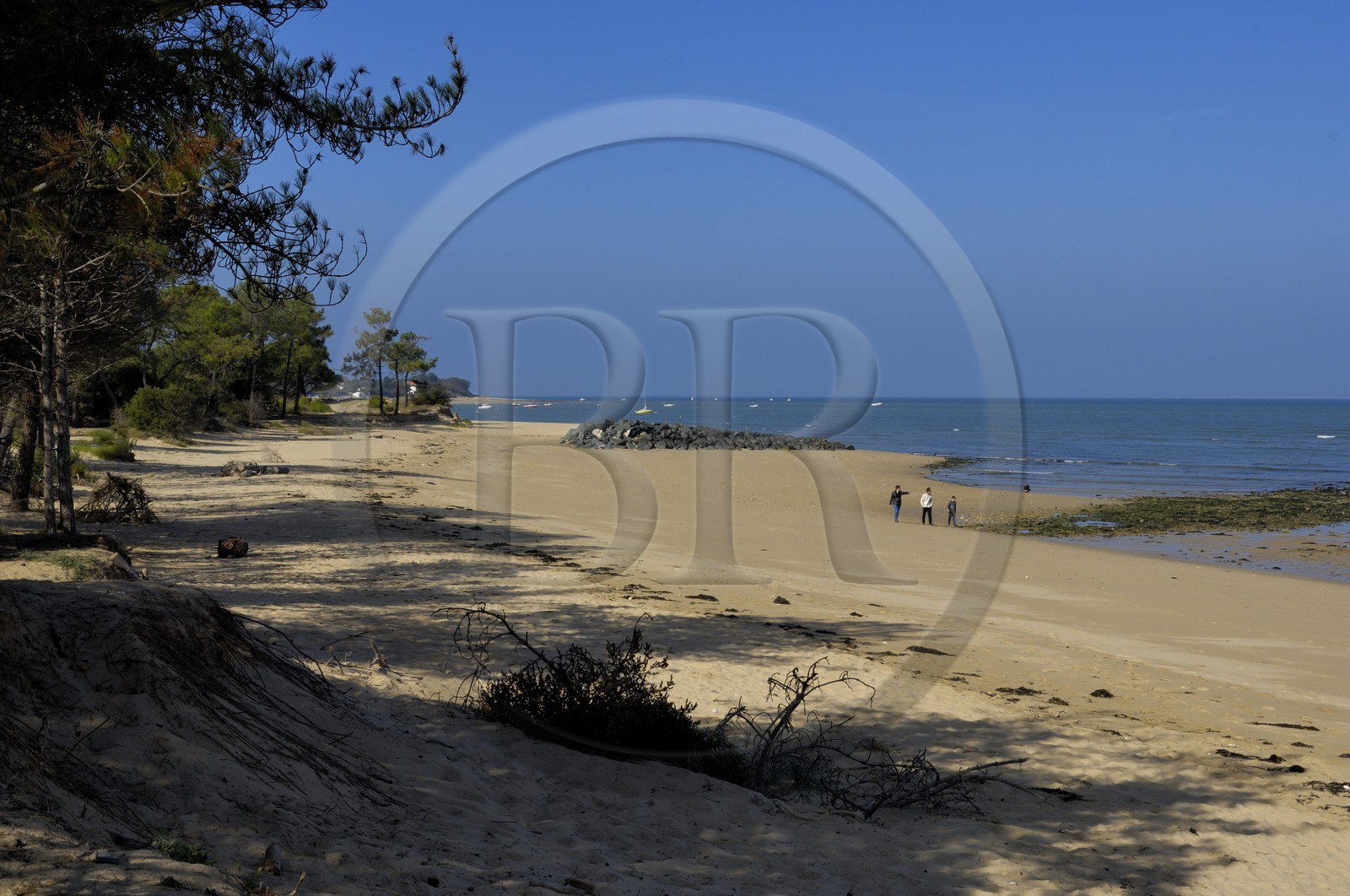 France, Charente-Maritime (17), ile de Ré, Les Portes-en-Ré, plage de Trousse-Chemise