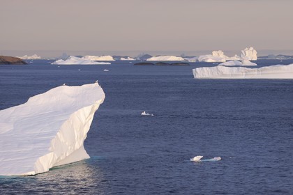 Groenland, région méridionale vers Nanortalik, iceberg