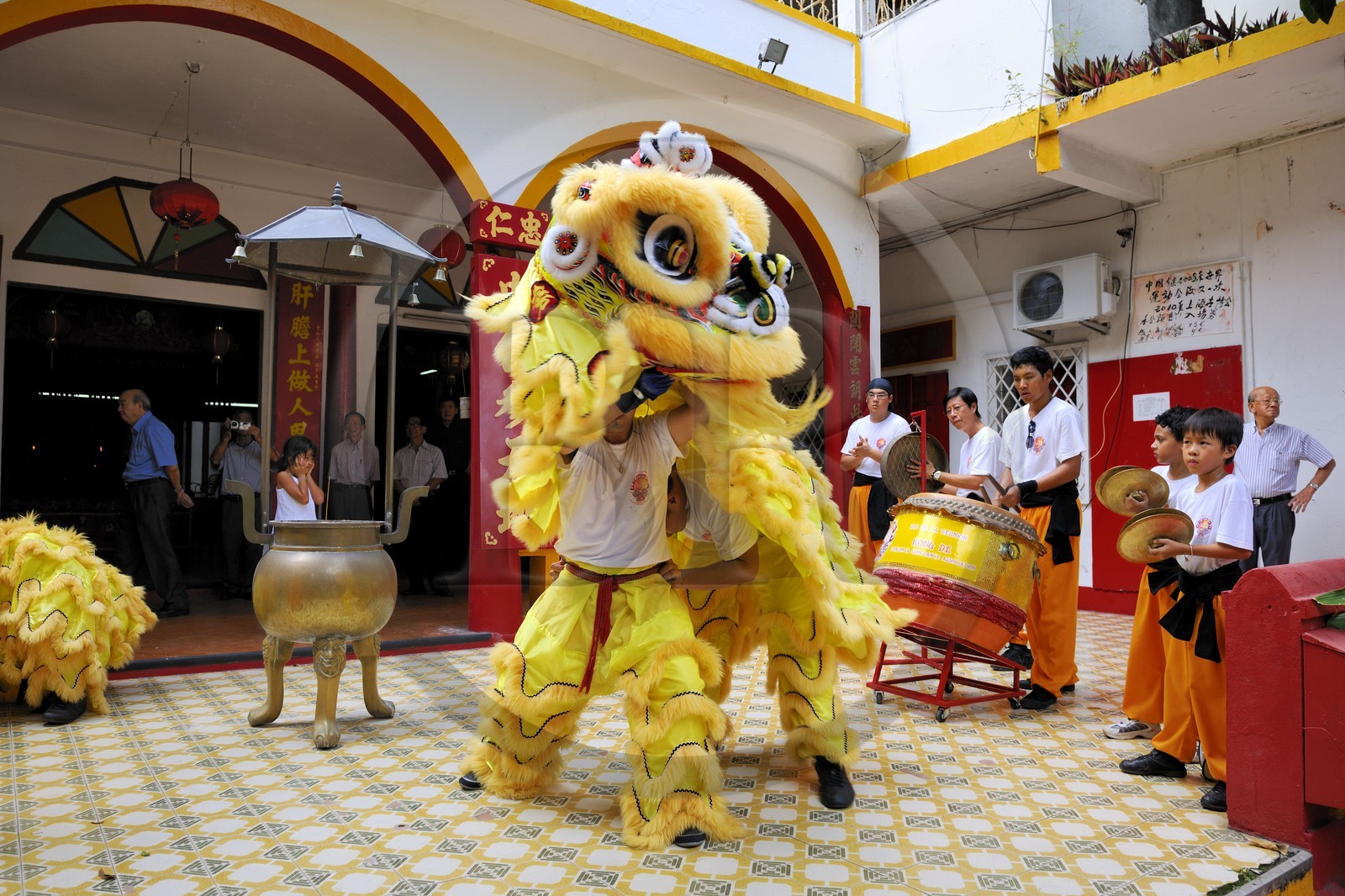 France, île de la Réunion, Saint-Pierre, danse traditionnelle du dragon à l'occasion des fêtes du nouvel an chinois dans un temple