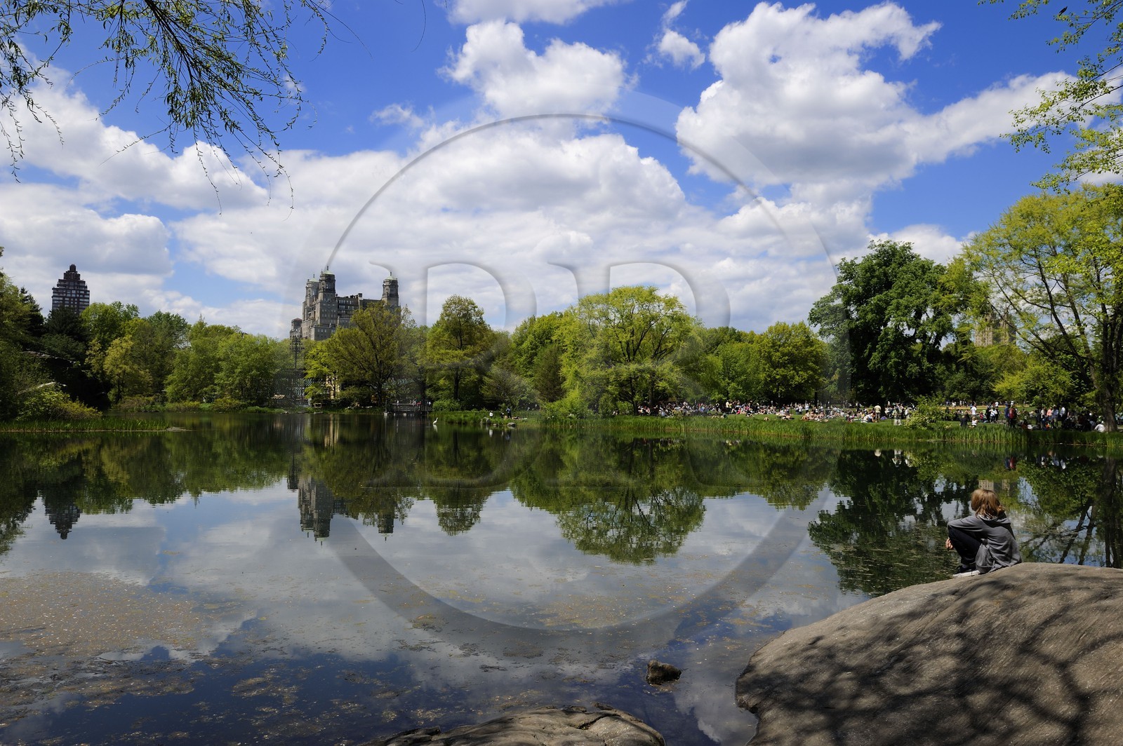Etats-Unis, New York, Manhattan, Central Park, le lac de la tortue