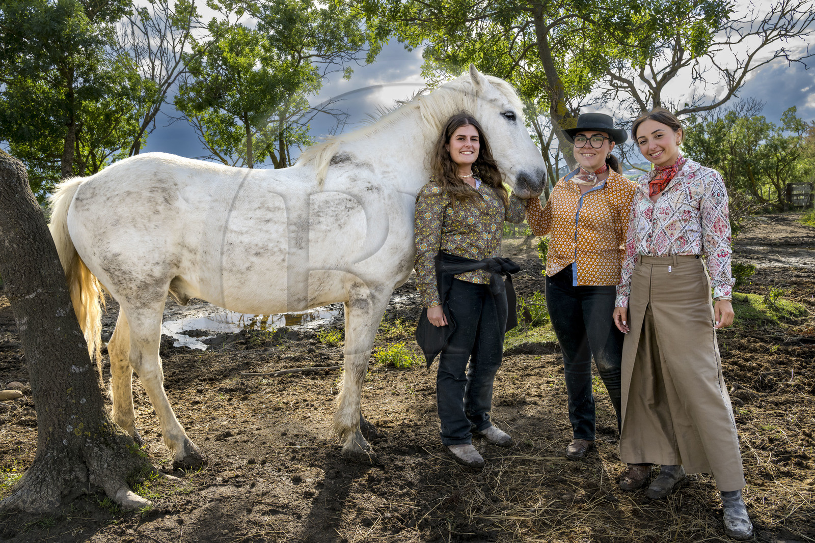 France, Gard, Saint Gilles du Gard, Pierre Aubanel & son manade (cattle and horses ranch), Pauline Aubanel with the Camargue horse Greco and the female volunteer herdsmen Marie Allard in the center and Celia Boulaire on the right
