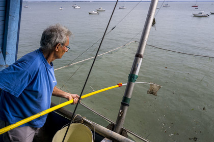 France, Loire-Atlantique (44), Estuaire de la Loire, Saint-Nazaire, plage de Trébézy, pêcheries de Gavy, le pêcheur Roland Dupont dans sa cabane de pêche traditionnelle au carrelet