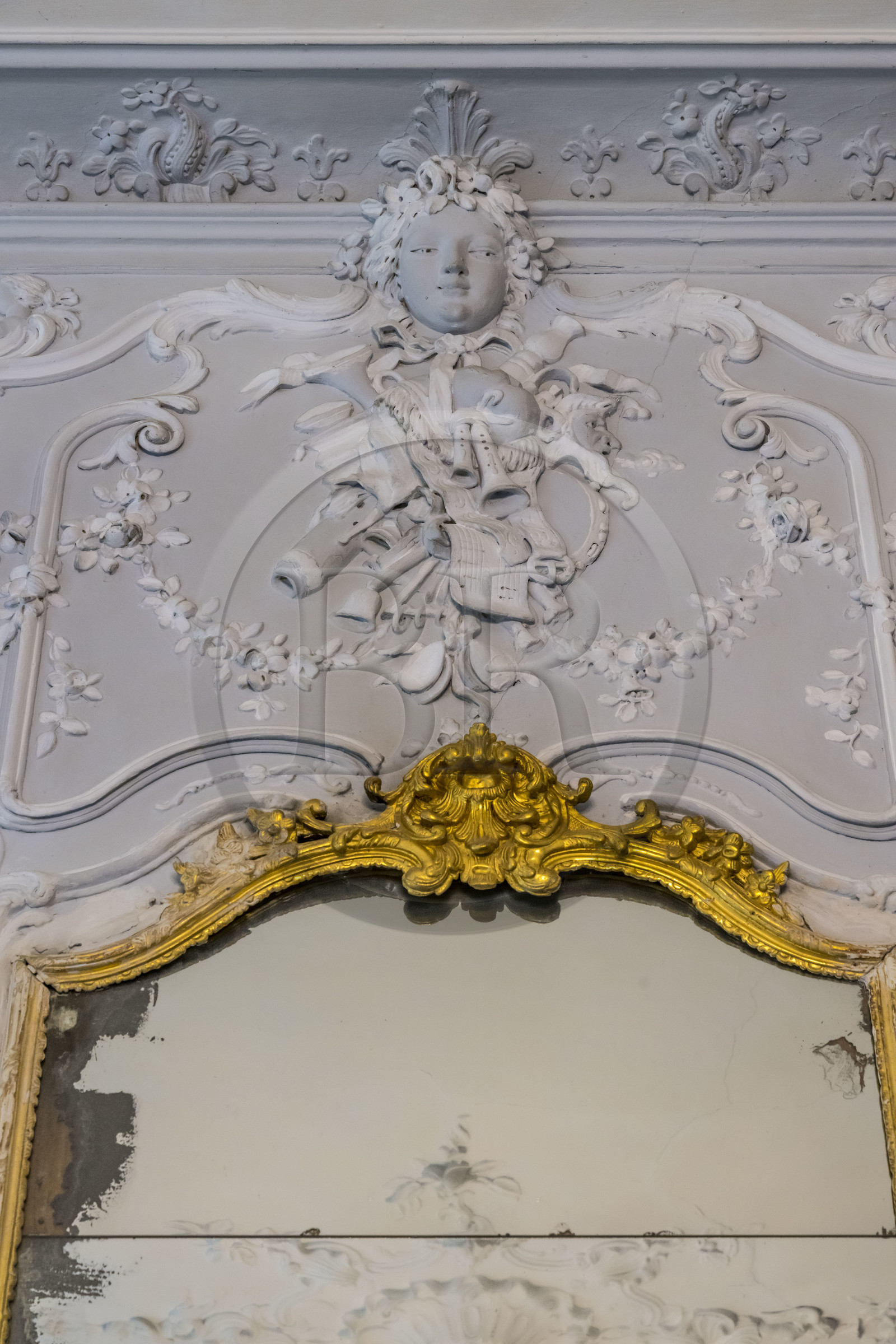 France, Hérault (34), Lavérune, Chateau de l'Engarran, hotel particulier de la deuxième moitié du XVIIIème siècle appelée folie montpelliéraine, gypserie, décoration d’intérieur moulée et sculptée en gypse