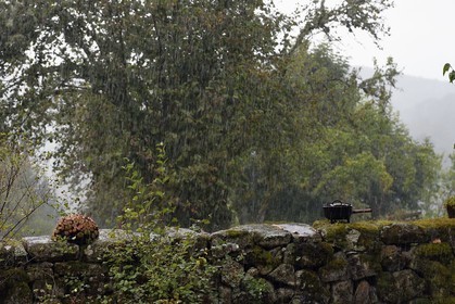 France, Cantal (15), Parc naturel régional de l'Aubrac, hameau de Le Laussier à Lieutades, mur de jardin sous la pluie