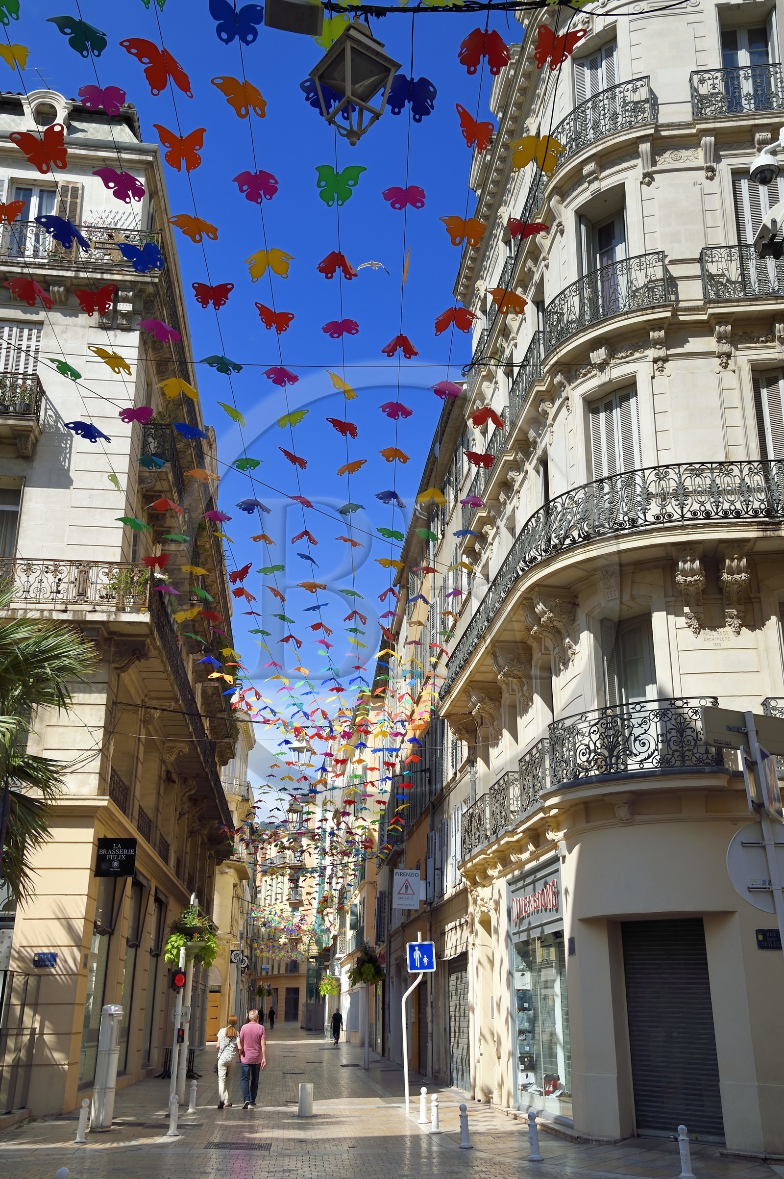 France, Var, Toulon, the rue d'Alger artery of the city center