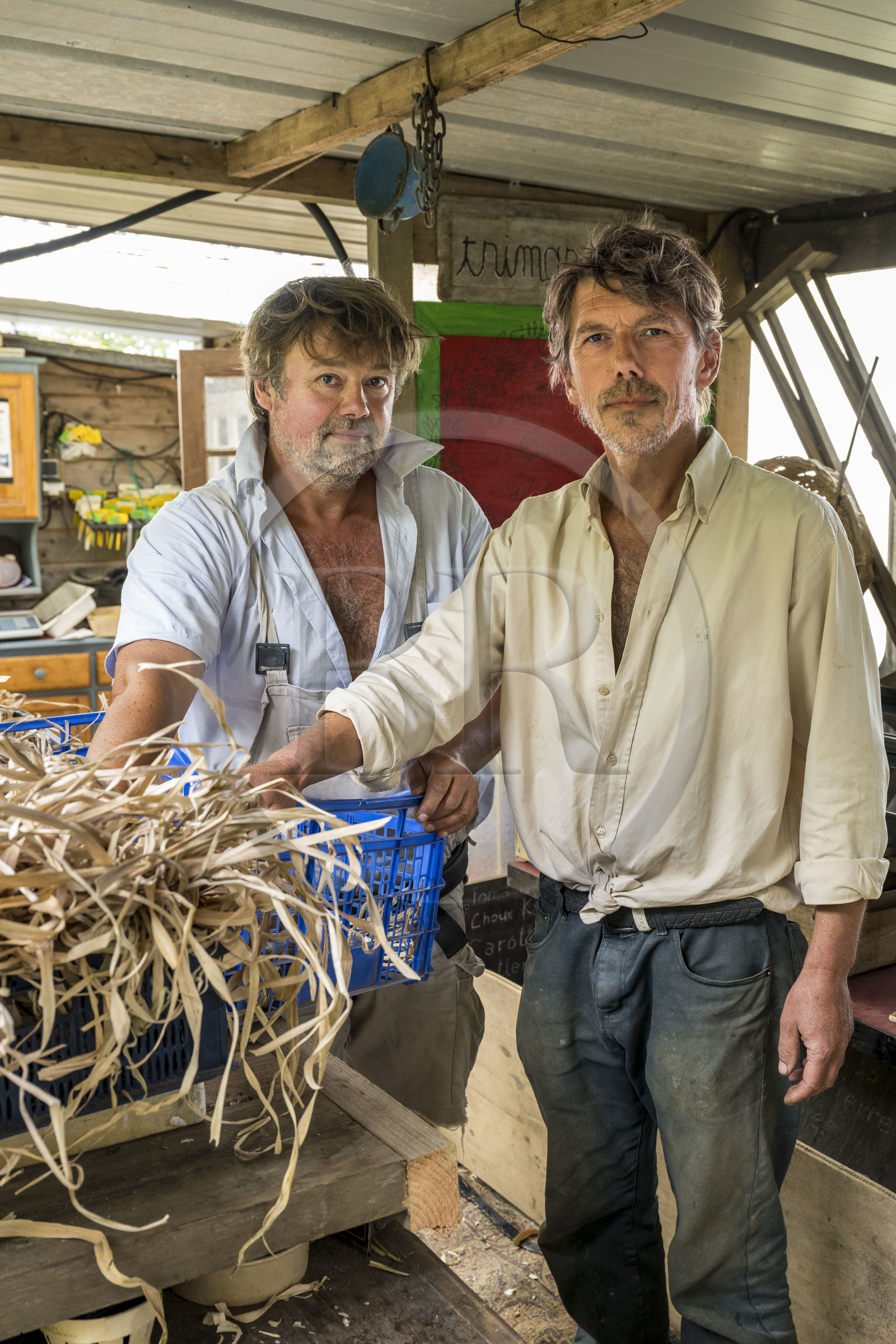 France, Morbihan (56), Ile de Groix, Kerdurand, les Jardins de Kerdu, grand jardin maraîcher bio de Erwan (à gauche) et Gael (à droite) Leclercq