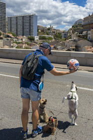 France, Bouches-du-Rhône (13), Marseille, quartier d'Endoume, pont du Vallon des Auffes, la Corniche du Président John Fitzgerald Kennedy piétonne un dimanche par mois au premier plan