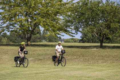 France, Maine-et-Loire (49), vallée de la Loire classée au Patrimoine Mondial par l'UNESCO, Gennes-Val-de-Loire, randonnée à bicyclette sur les berges de la Loire