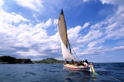 France, Pyrénées-Orientales (66), le côte Vermeille vers Banyuls-sur-Mer, une barque traditionnelle catalane à voile latine