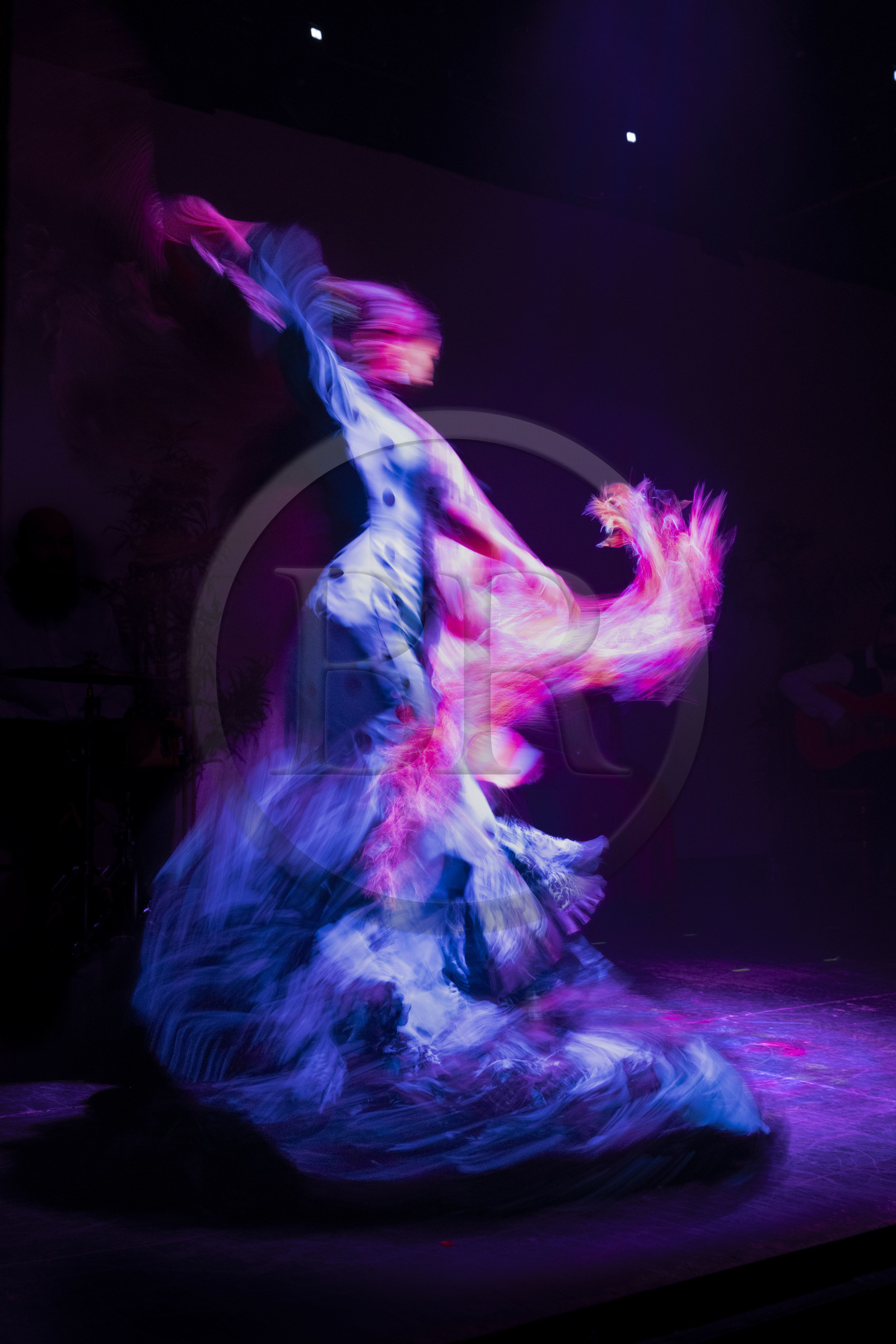 Espagne, Catalogne, Barcelone, City Hall Barcelona, spectacle de danse Flamenco