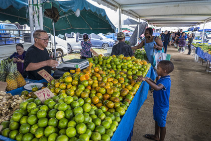 France, Guyane, Javouhey, marché du dimanche Hmong, réfugiés du Laos arrivés en 1978 qui se sont spécialisés dans la culture fruitière, étal de mandarines et citrons verts