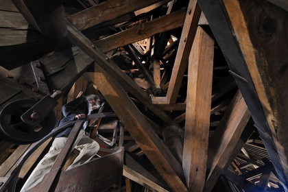 France, Paris (75), île de la Cité, la cathédrale Notre-Dame, la charpente appelée la forêt