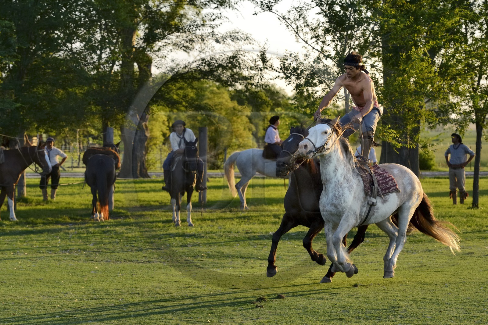Argentine, province de Buenos Aires, San Antonio de Areco, estancia La Bamba de Areco, demonstration du savoir-faire d'un cavalier amerindien avec son cheval