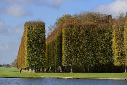 France, Yvelines (78), parc du château de Versailles, classé Patrimoine Mondial de l'UNESCO, le Grand Canal