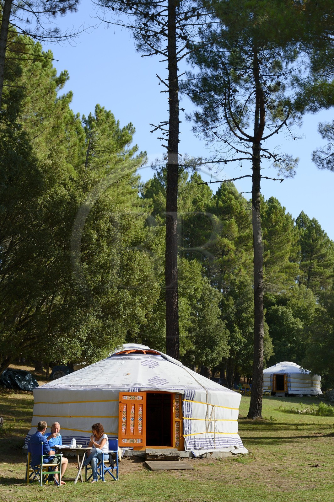 France, Corse du Sud, Alta Rocca, Mongolian yurt of the outdoor hotel Le Pré aux Biches
