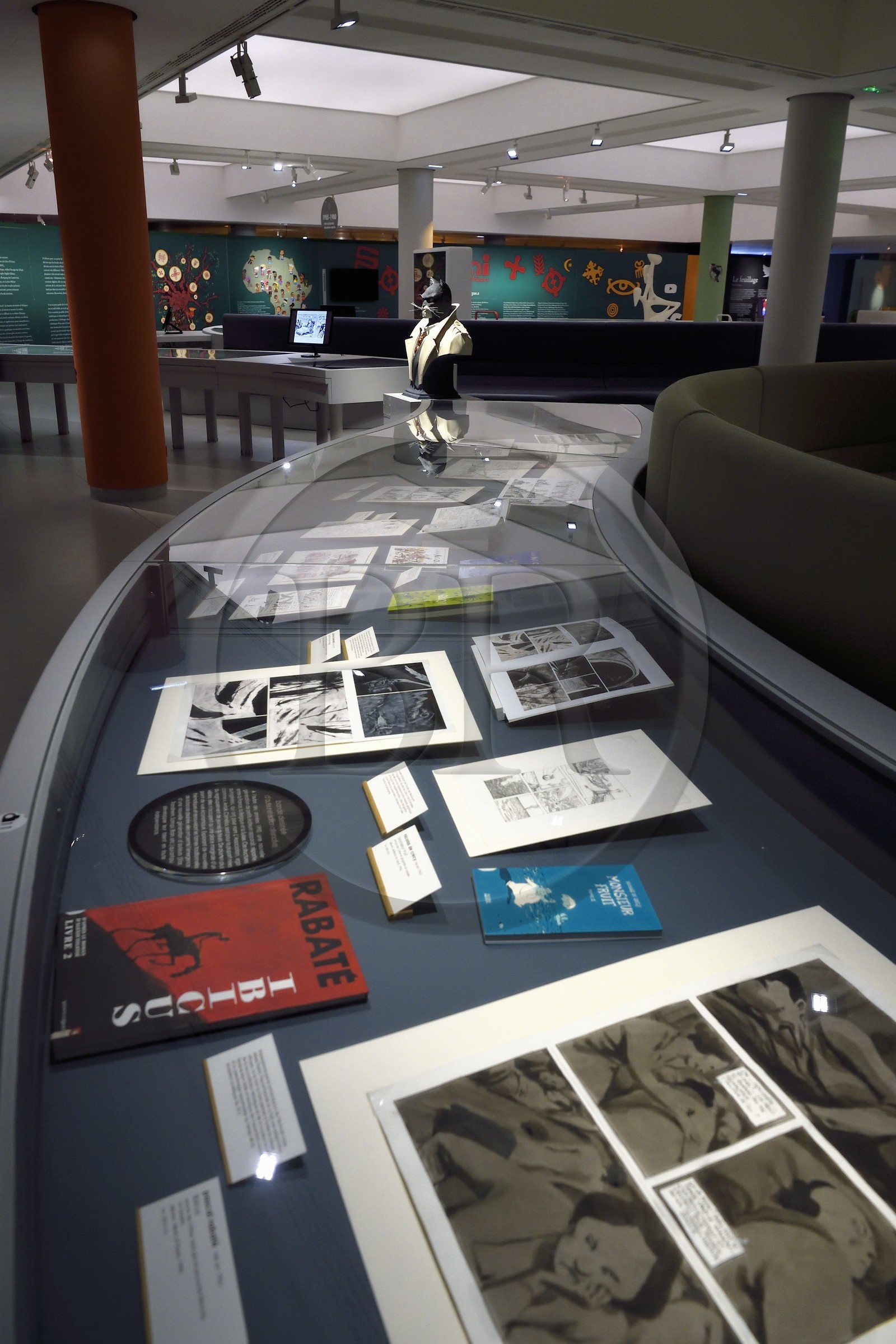 France, Charente (16), Angoulême, Cité internationale de la bande dessinée et de l’image (CIBDI), le musée de la BD dans les anciens chais Magélis