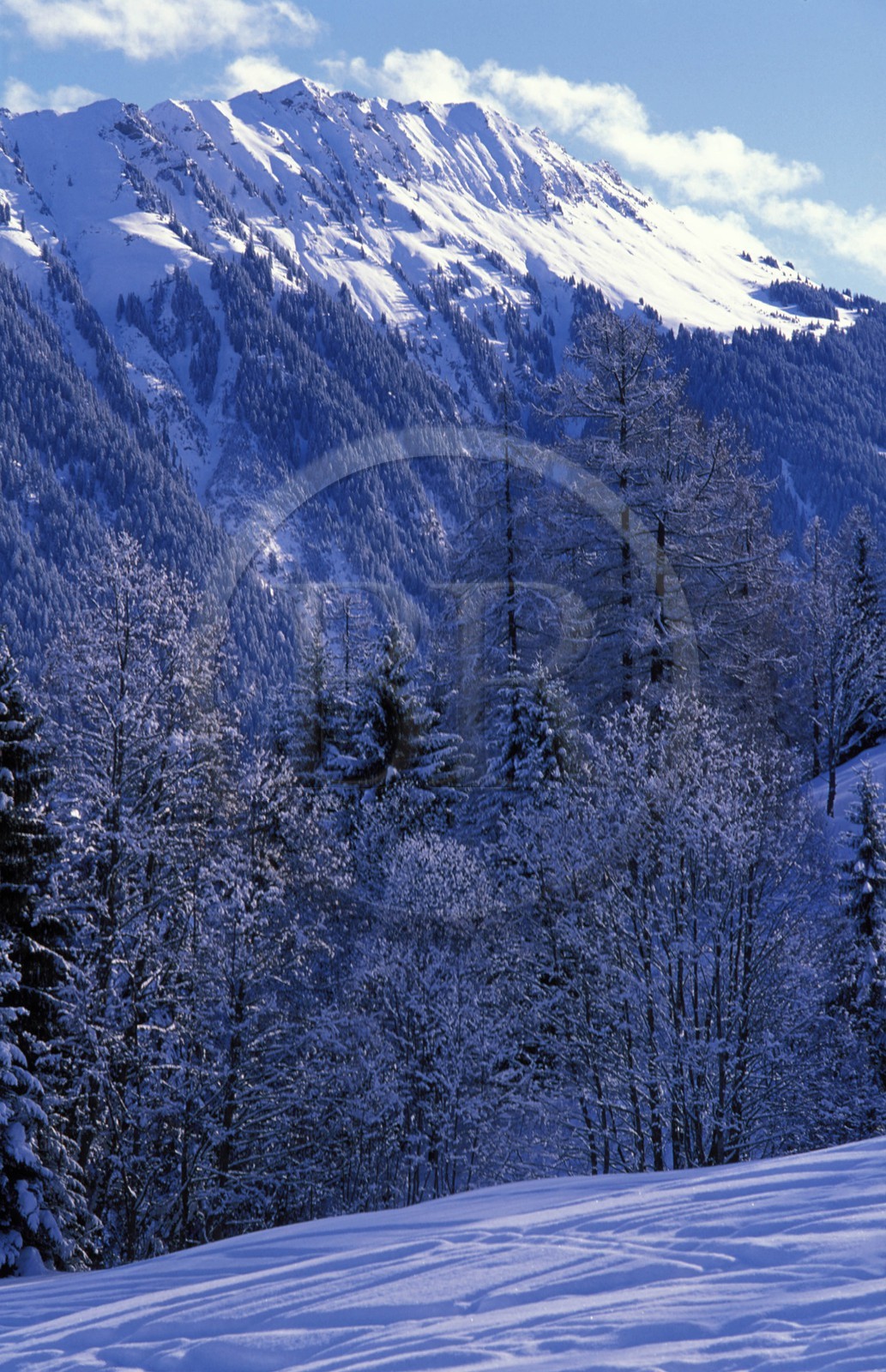 Suisse, région de Bern (Oberland Bernois), Saanenland, la montagne à Gstaad