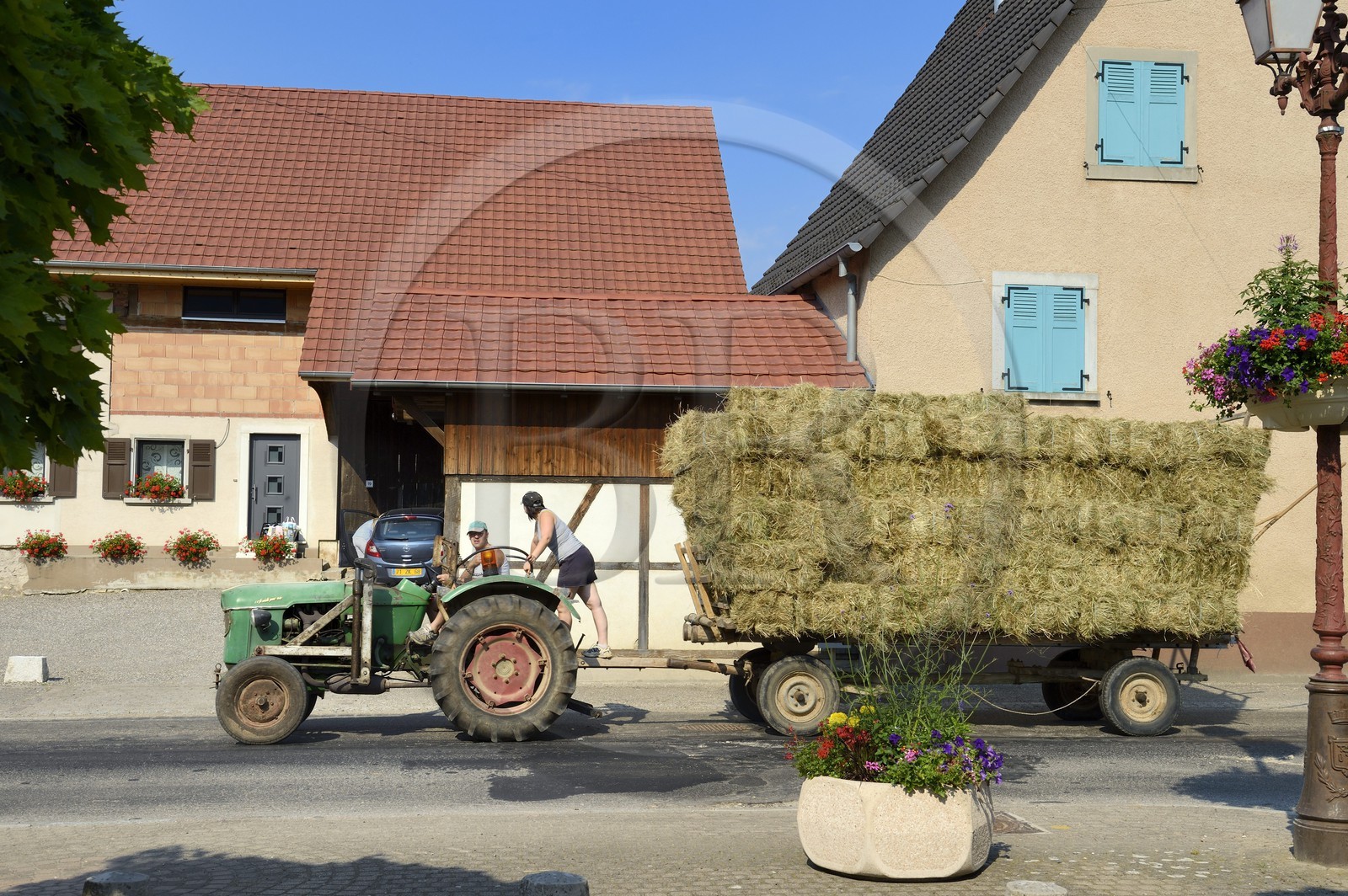 France, Haut-Rhin (68), Sundgau, Oltingue, tracteur revenant des champs