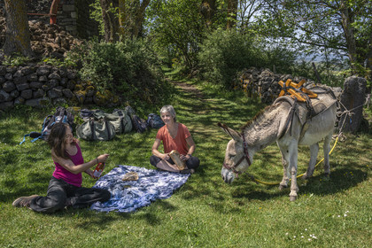 France, Haute-Loire (43), randonnée avec un âne sur le chemin de Stevenson (GR 70) entre Le Monastier-sur-Gazeille et Saint-Martin-de-Fugères, arret pique-nique