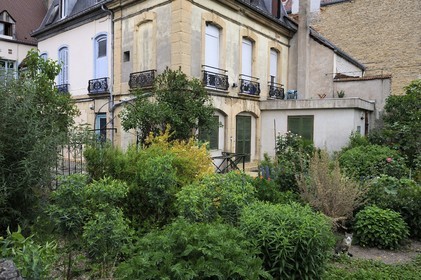 France, Côte d'Or (21), Dijon, jardin privé d'une maison rue Berbisey