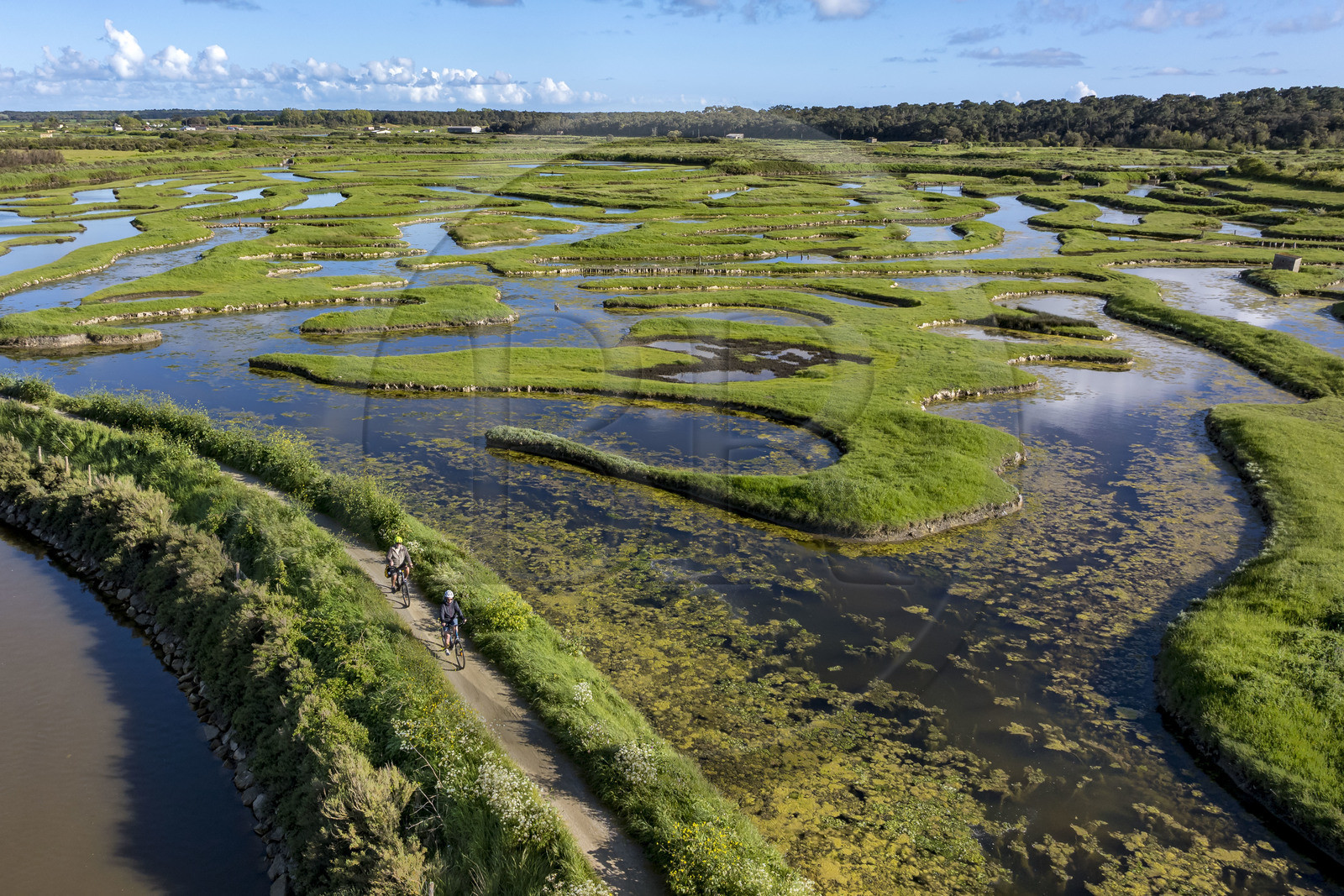 France, Vendée (85), Talmont-Saint-Hilaire, marais de la Guittière dans l'arrière pays de la Pointe du Payré, cycliste sur la piste de la véloroute Vendée Vélo Tour et Vélodyssée au passage du Cul d’Ane, marais aménagés pour la pisciculture de dorades, mulets et anguilles (vue aérienne)