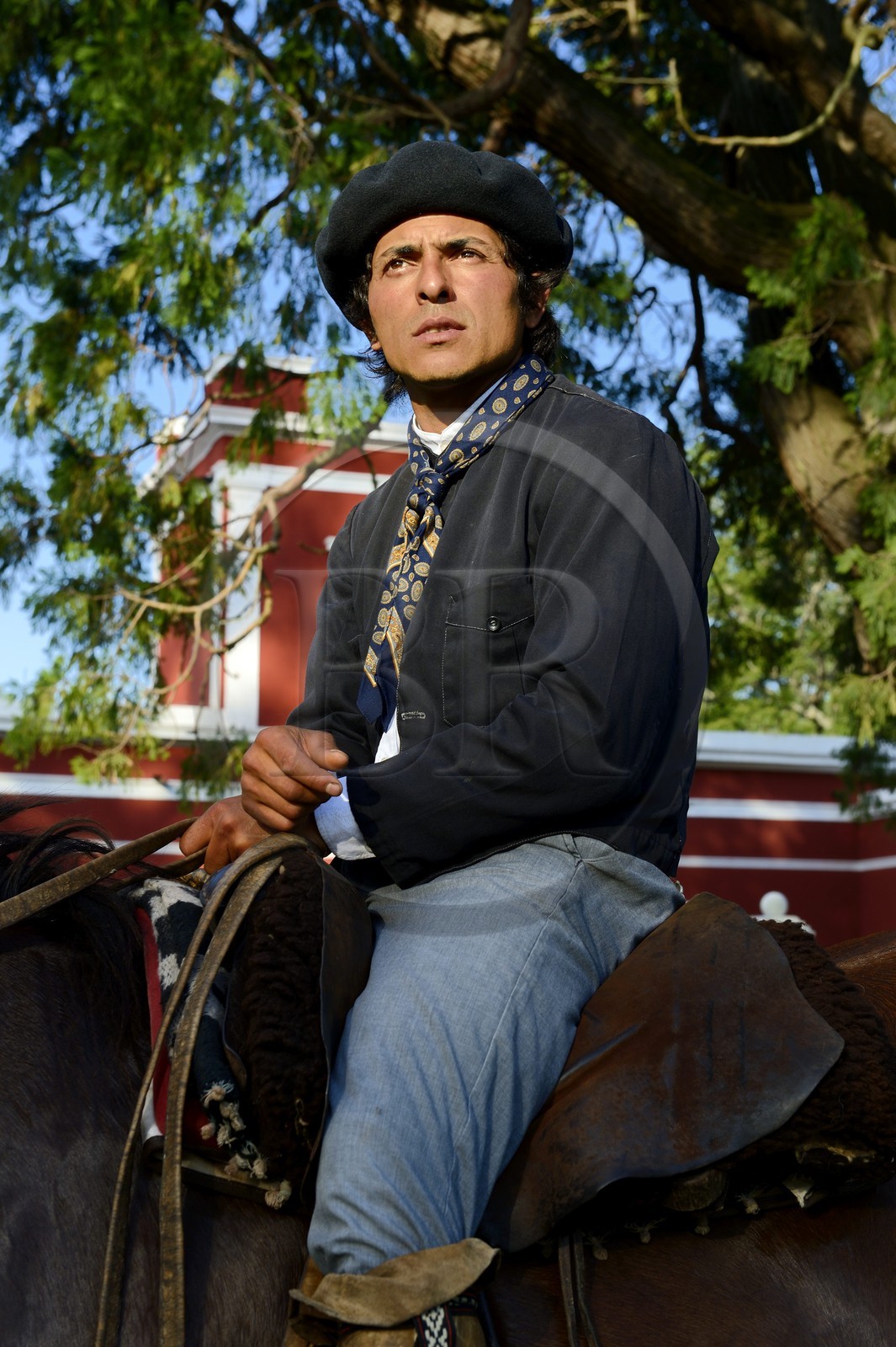 Argentine, province de Buenos Aires, San Antonio de Areco, estancia La Bamba de Areco, gaucho buvant du maté (infusion locale)