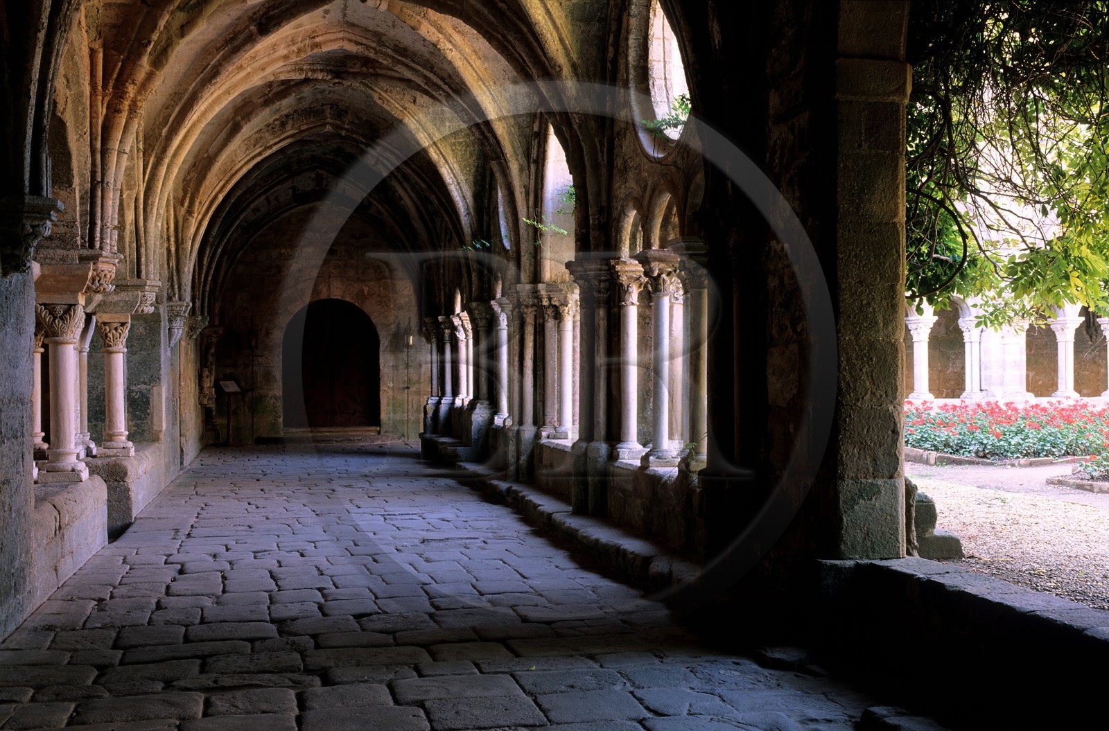 France, Aude (11), abbaye de Fontfroide