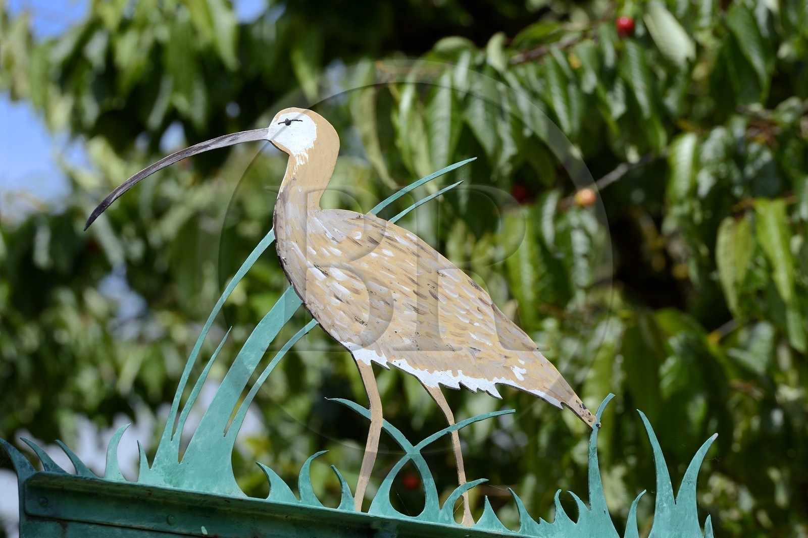 France, Bas-Rhin (67), le Grand Ried, Muttersholtz, enseigne reproduisant le Courlis cendré (Numenius arquata)