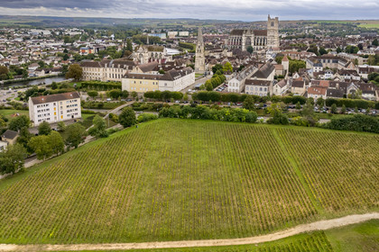 France, Yonne (89), Auxerre, vignes du Clos de la Chaînette (dans le centre hospitalier spécialisé de l'Yonne), l'abbaye Saint-Germain et la cathédrale Saint-Etienne en arrière plan (vue aérienne)