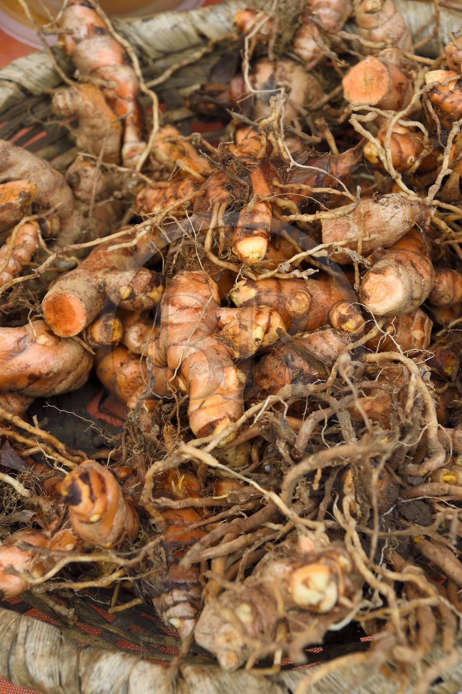 France, Ile de la Reunion, Saint-Joseph, Plaine des Gregues, racine de curcuma en vente au marché