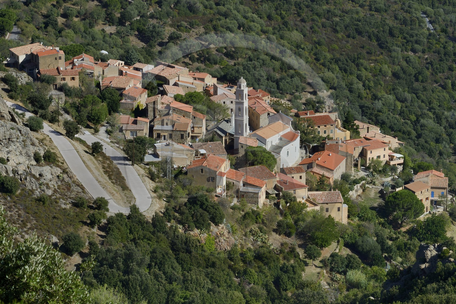 France, Haute-Corse (2B), Balagne, village perché de Palasca