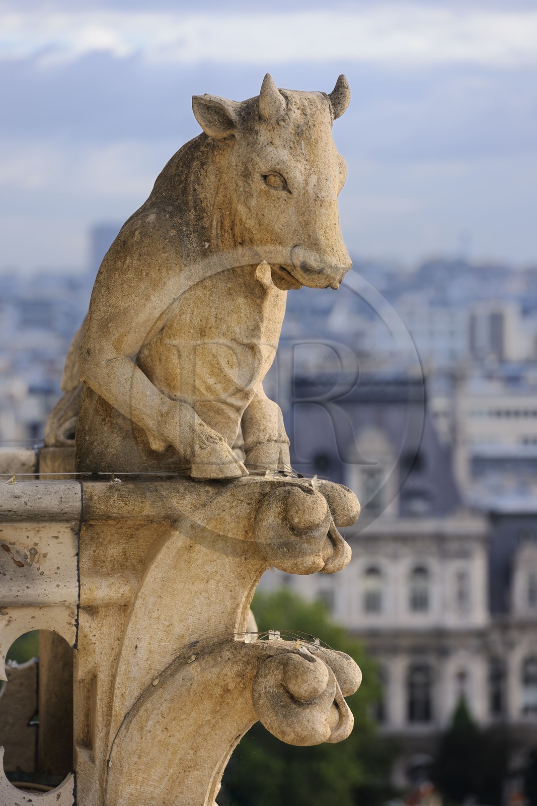 France, Paris (75), île de la Cité, la cathédrale Notre-Dame, les chimères observent la ville, le taureau debout récemment restauré