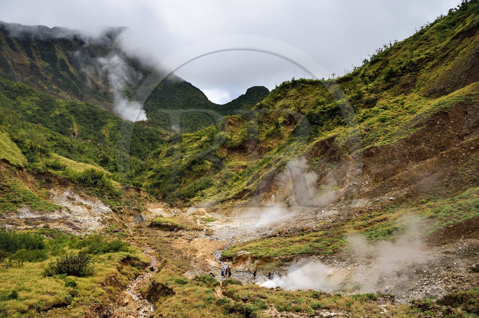 Caraïbes, Ile de la Dominique, Castle Bruce, Parc national du Morne Trois Pitons classé Patrimoine Mondial de l'UNESCO, la Vallée de la Désolation avec fumerolles et sources d'eau chaude, randonnée sur le sentier menant au Boiling Lake
