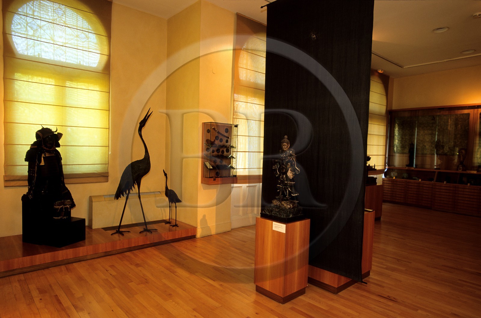 France, Haute-Garonne (31), Toulouse, musée Georges Labit