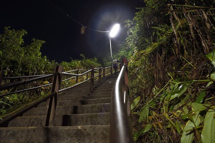 Sri Lanka, province du centre, Dalhousie, escalier menant au Pic d'Adam (Adam's Peak)