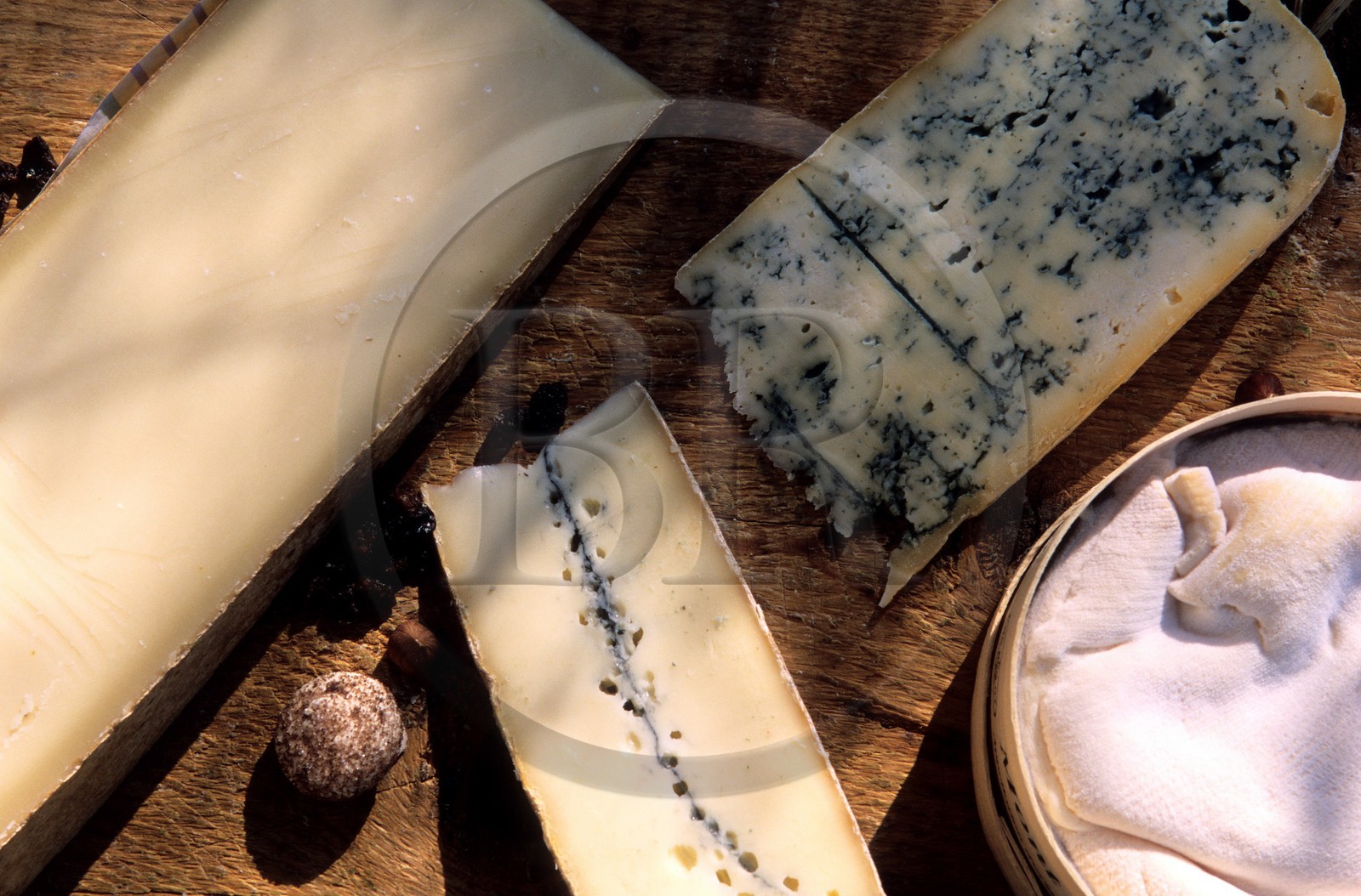 France, Doubs, four typical cheese of Franche Comte region: the Comte, Morbier, bleu de Geix and the Mont d'Or