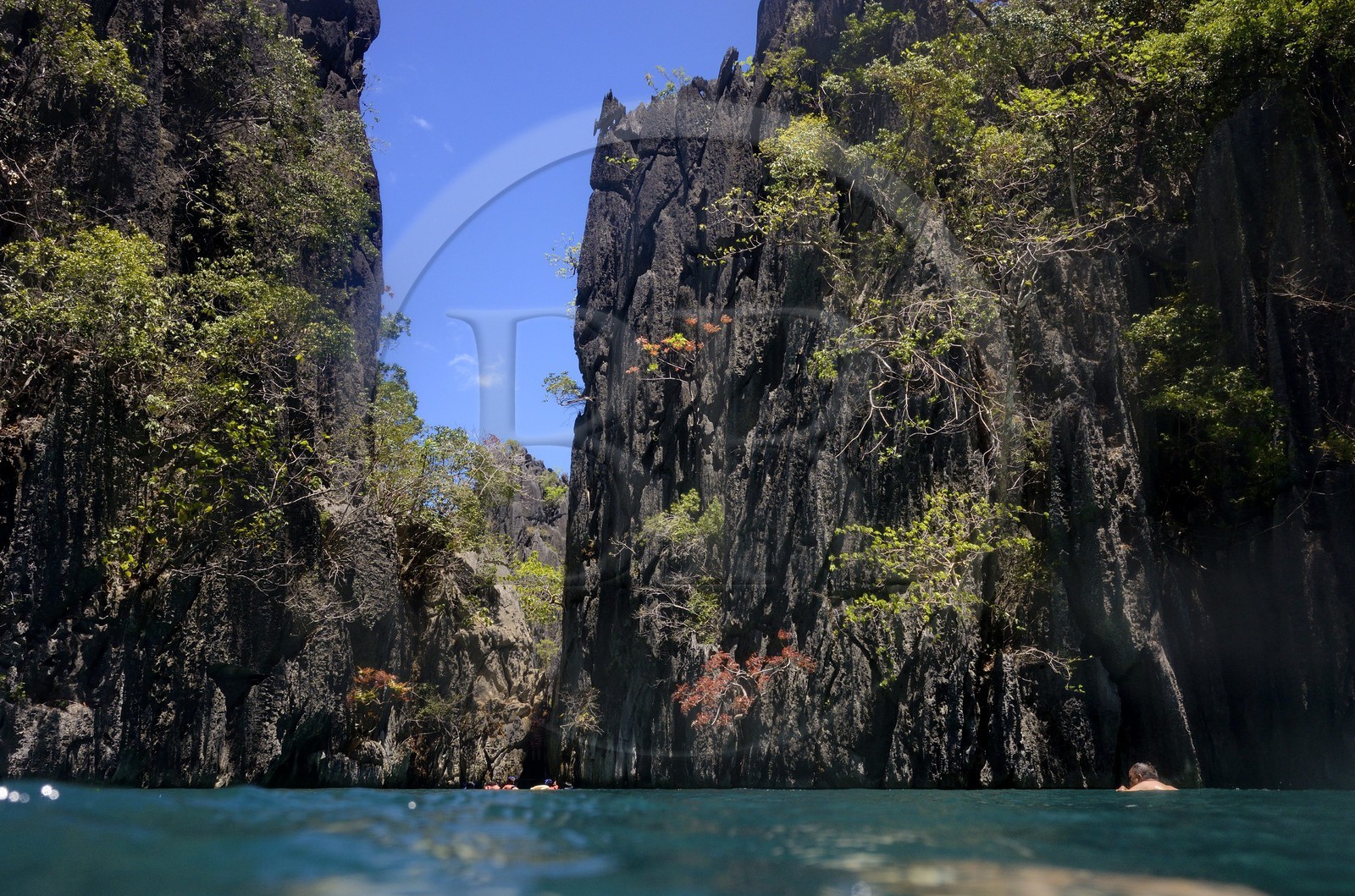Philippines, Calamian Islands dans le nord de Palawan, Coron Island Natural Biotic Area, lagon et falaises de calcaire du Permien d'origine jurassique