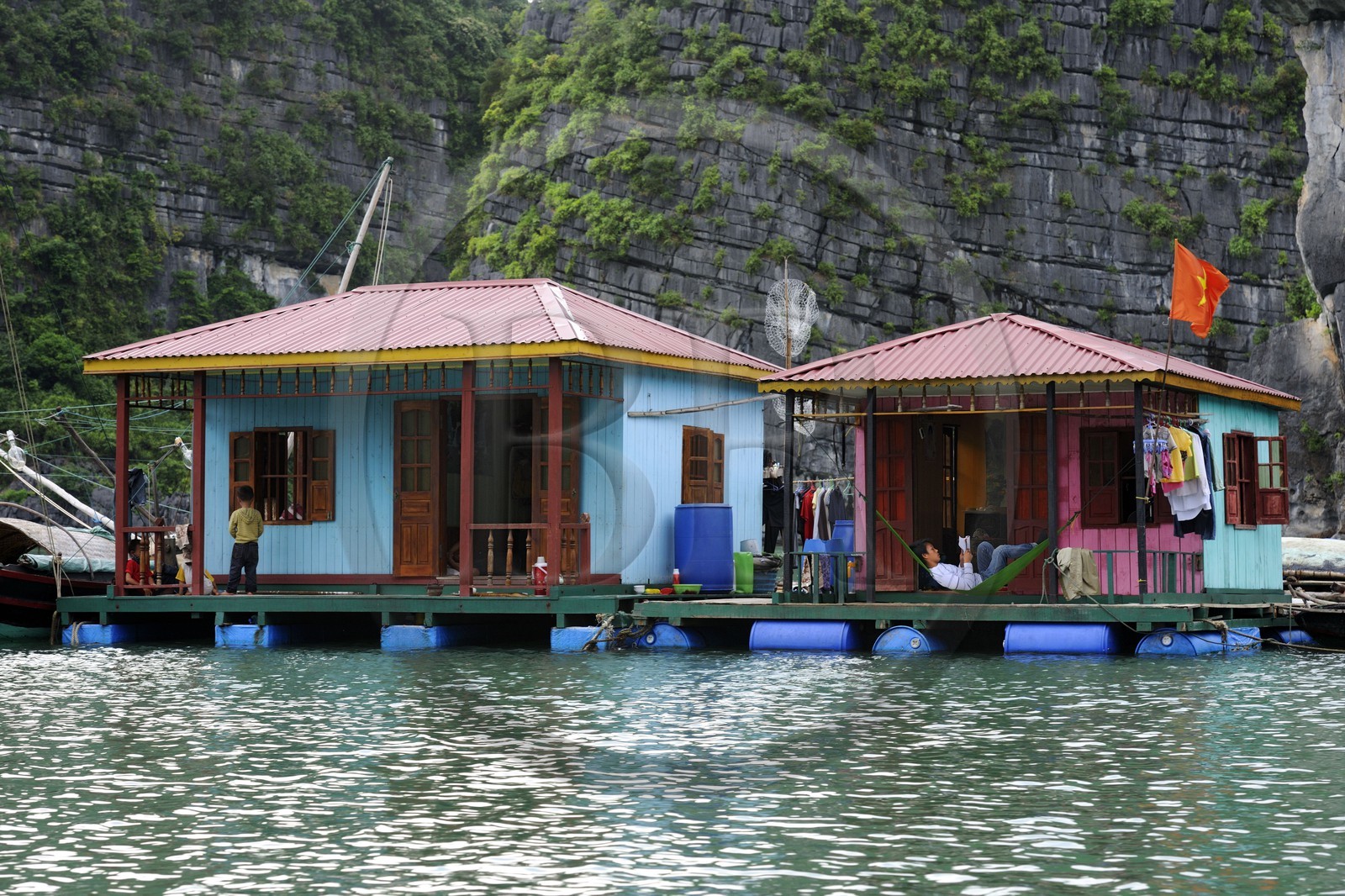 Vietnam, province de Quang Ninh, la Baie d'Halong classée Patrimoine Mondial de l'UNESCO, village flottant de pêcheurs de Vong Vieng