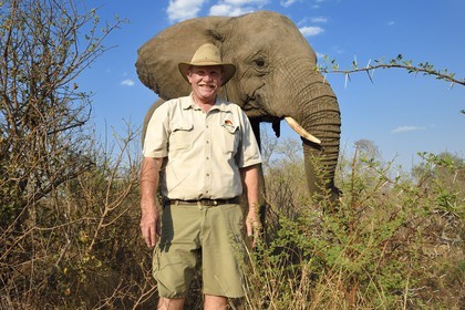 Zimbabwe, Midlands Province, Gweru, Antelope Park home to ALERT (African Lion and Environmental Research Trust), the managing director Gary Jones with an African elephant (Loxodonta africana)
