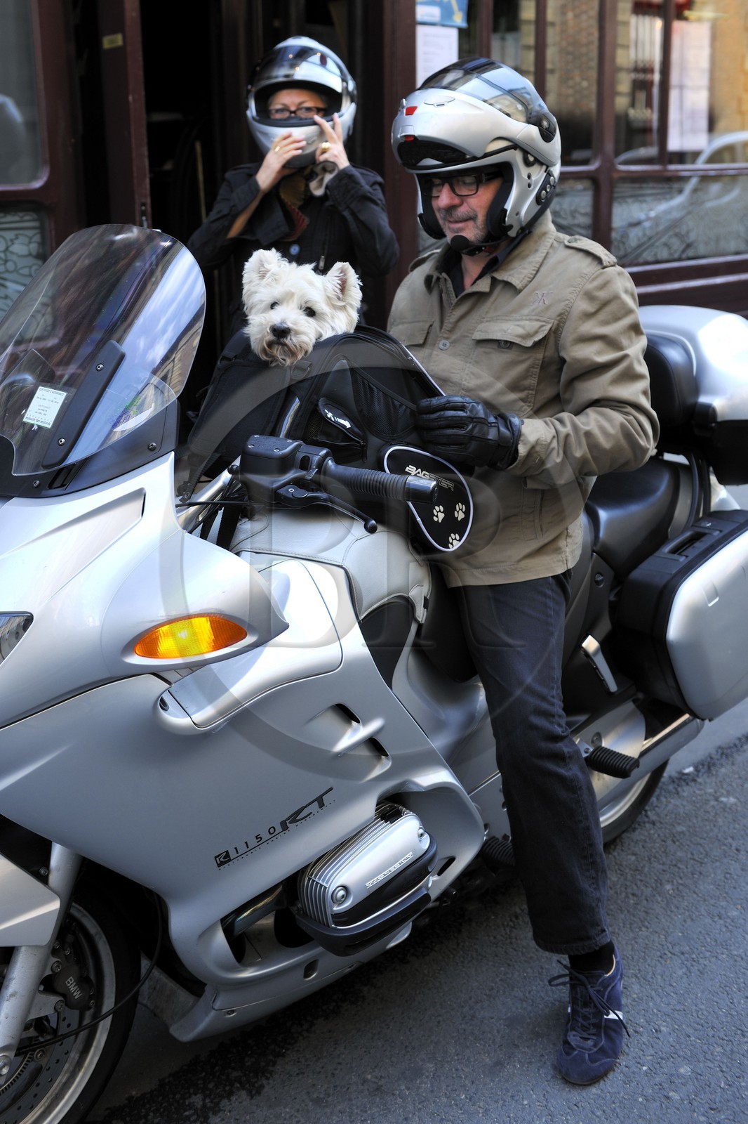 France, Paris (75), chien sur une moto (gilles.devinckyle@wanadoo.fr 01 42 21 10 31 mme Samut)