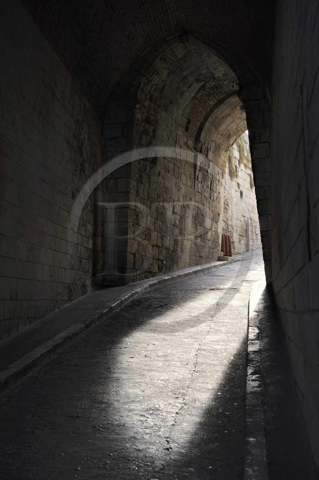 France, Indre et Loire, Amboise, Loire Valley listed as World Heritage by UNESCO, chateau d'Amboise, ramp access