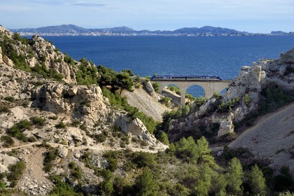 France, Bouches-du-Rhône (13), Le Rove vers Marseille, la Cote Bleue, randonnée de Niolon au Cap Méjean le long du Sentier des Douaniers, randonneur descendant vers le pont ferroviaire de la calanque du Jonquier et la ville de Marseille en arrière plan