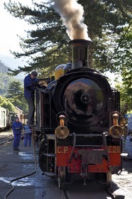 France, Alpes-Maritimes, Puget Theniers, the Train des Pignes historic train, engineer and stoker make water for the locomotive