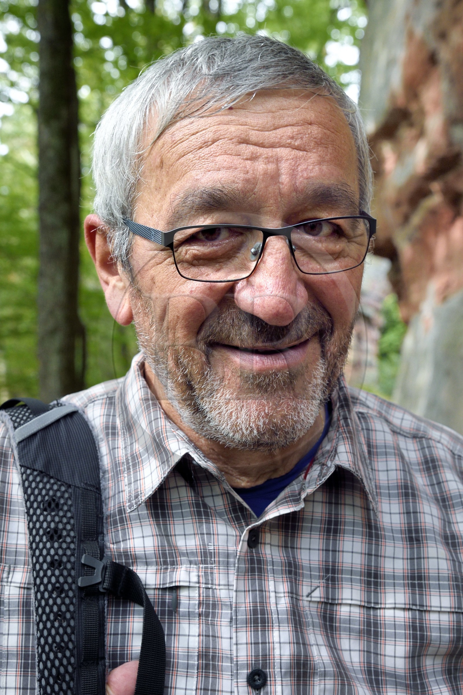 France, Bas-Rhin (67), Parc naturel régional des Vosges du Nord, Niedersteinbach, foret domaniale de Steinbach, Jean-Louis Pfeffer vice président de la fédération du Club Vosgien