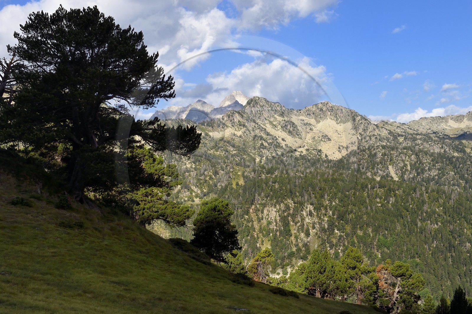 France, Hautes-Pyrénées (65), Saint-Lary-Soulan et Vielle-Aure, randonnée sur une variante du GR10 entre le col de Portet et les lacs de Bastan en bordure de la réserve naturelle de Néouvielle