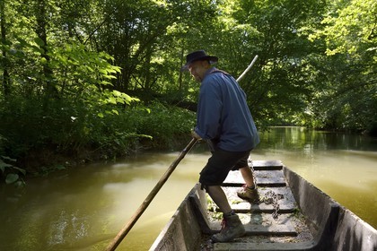 France, Bas-Rhin (67), région d'Ebersmunster et Muttersholtz, le Grand Ried, le batelier Patrick Unterstock dans une barque à fond plat en bois sur la rivière l'Ill