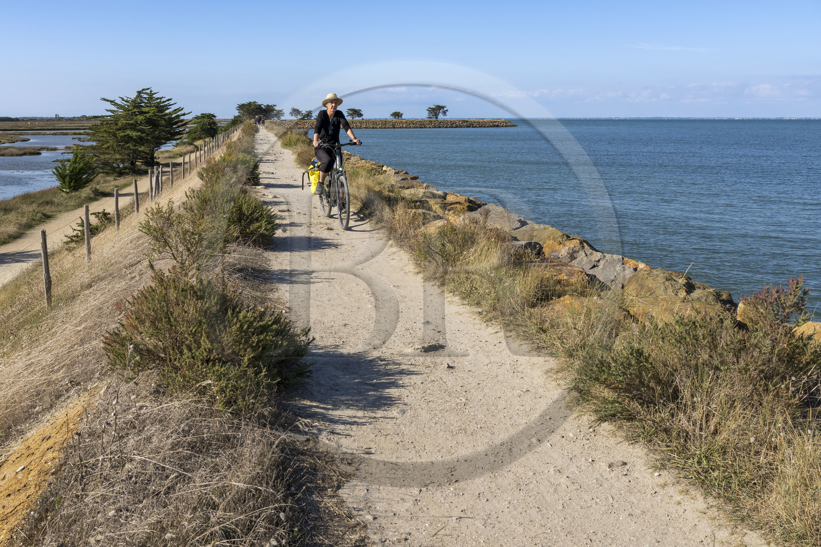France, Vendée (85), île de Noirmoutier, Barbatre, cyclistes sur la digue de la côte Est