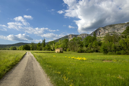 France, Alpes-de-Haute-Provence (04), Parc Naturel Régional du Verdon, route de campagne à Moustiers-Sainte-Marie, labellisé Les Plus Beaux Villages de France