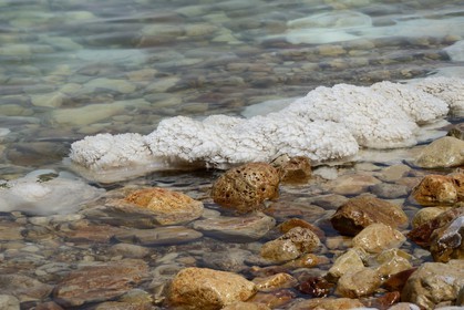 Israel, District sud,  plage de Ein Gedi sur la Mer Morte, concrétions salines