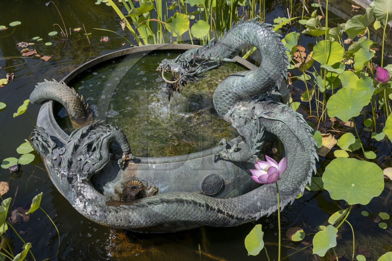 France, Alpes-Maritimes (06), Menton, quartier de Garavan, le jardin de Maria Serena, le bassin de la Fontaine au Dragon (ancienne fontaine japonaise qui a appartenue à un shogun)